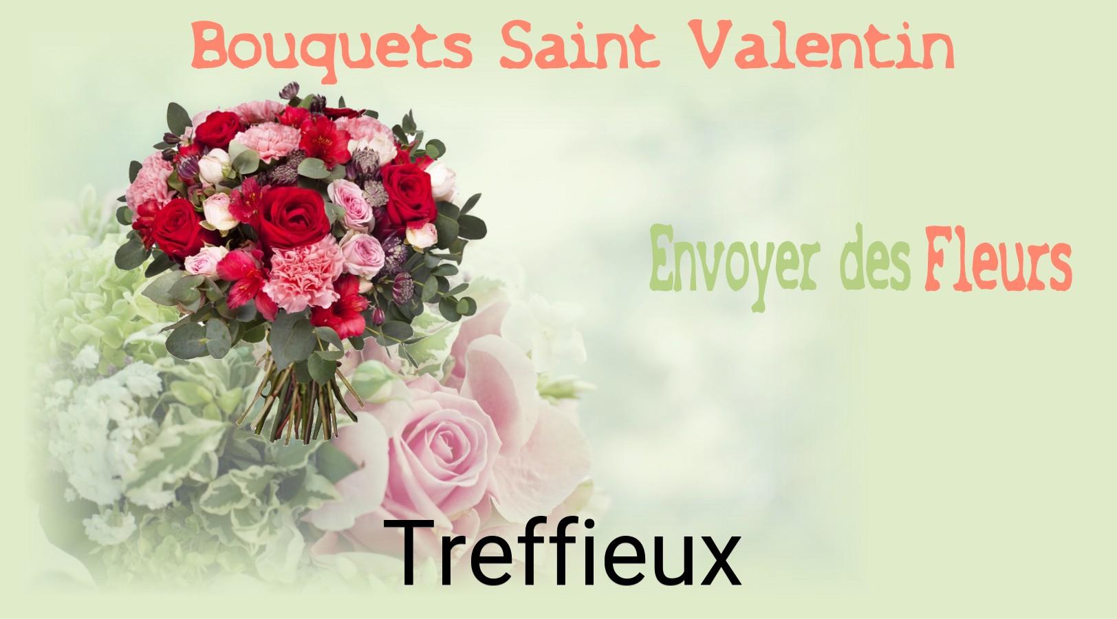 Roses de Saint-Valentin livrées à Treffieux