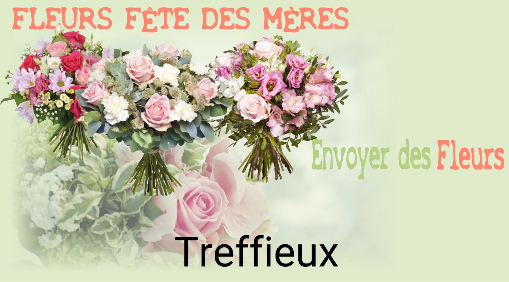 Bouquet de Fête des Mères livré à Treffieux